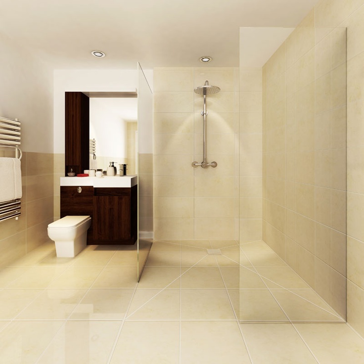 Large Wet Room Style Shower